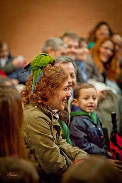 Semana Ciencias en Los Tilos